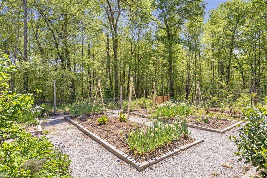 225 Hamrick Road Bremen, GA 30110 - Photo 46 of 61 a view of a backyard with a garden