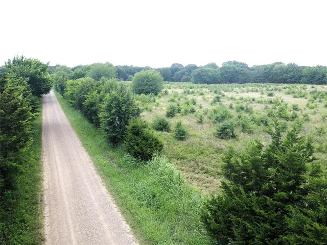 $60,000 | Lot 6 Cr 1400 Ravenna Tx 75476, Ravenna, TX 75476