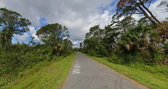 a view of a pathway both side of yard