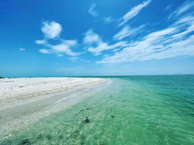 a view of a dry yard