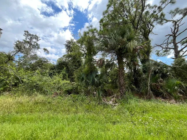 a view of a bunch of trees