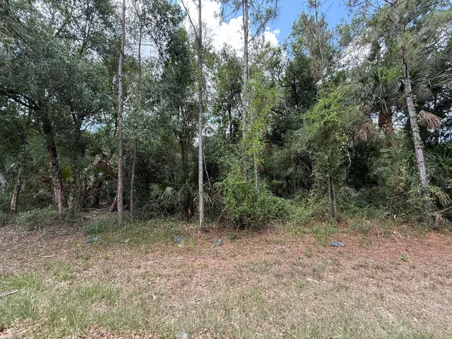 a view of outdoor space and view of trees