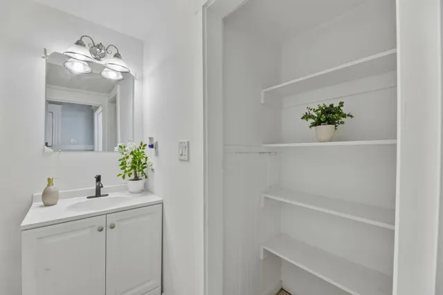 a bathroom with a sink a potted plant and a mirror