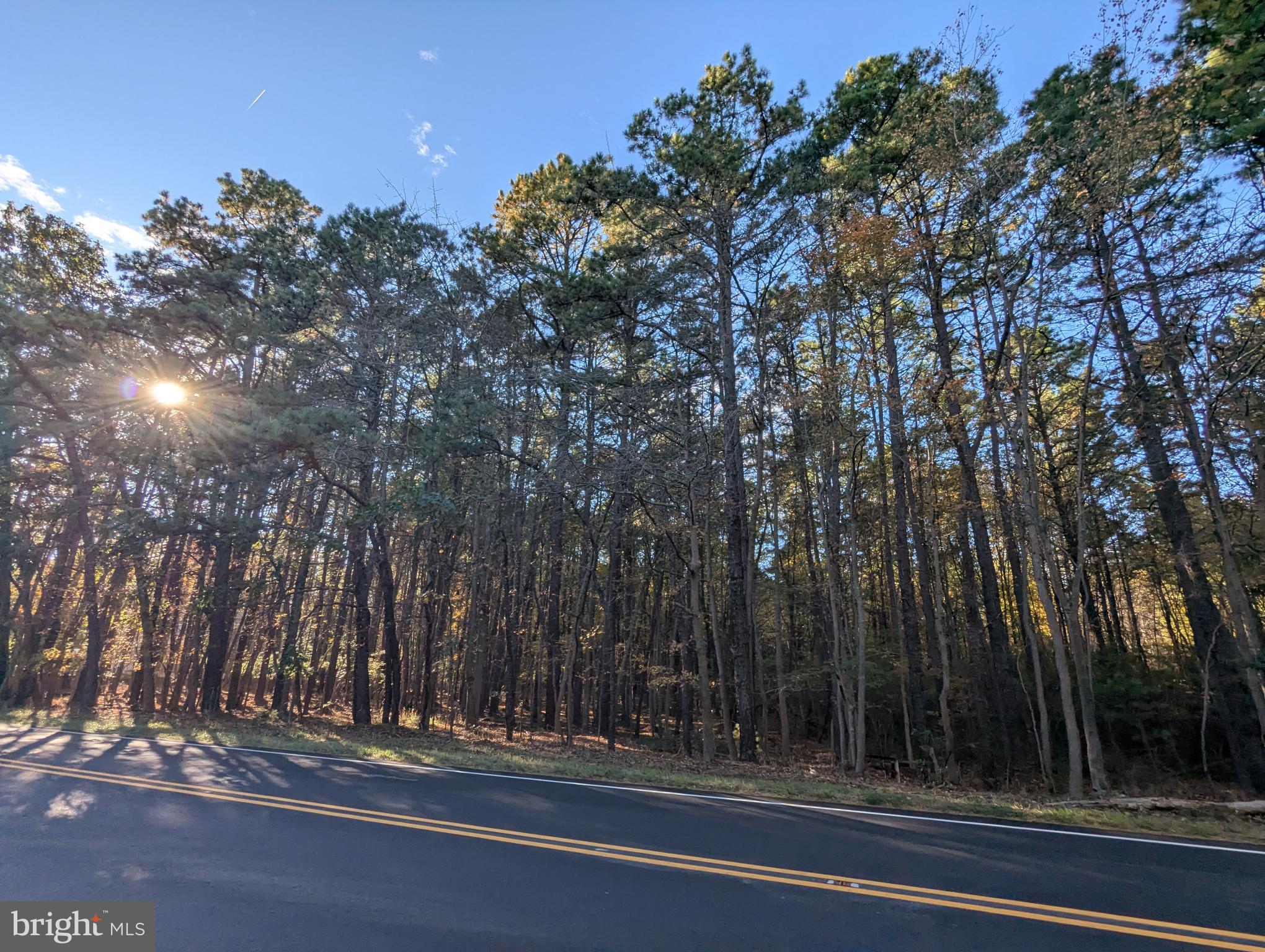 a view of a yard from a tree