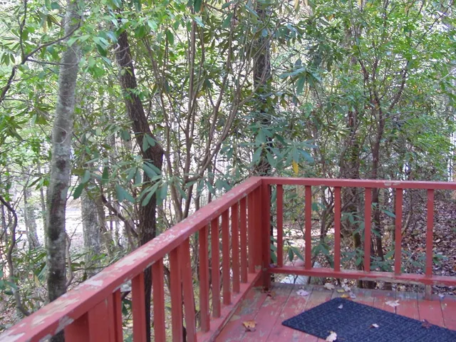 a backyard of a house with large trees and wooden fence
