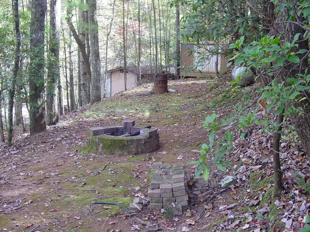 a view of a backyard with trees