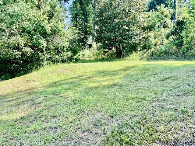 1567 Island Road Titus, AL 36080 - Photo 35 of 41 Gallery Image 35