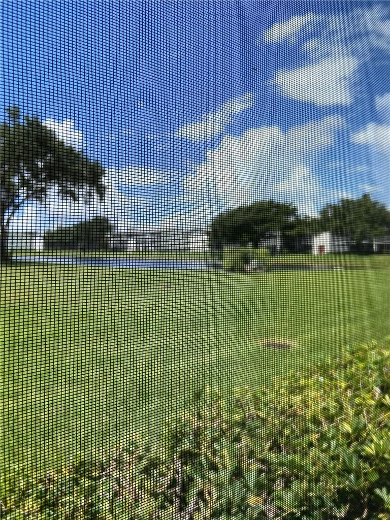 Patio View