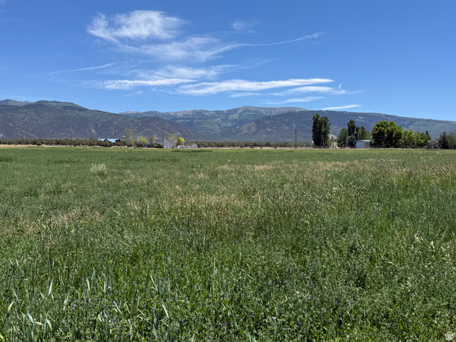 2 1100th South Spring City, UT 84662 - Photo 2 of 9