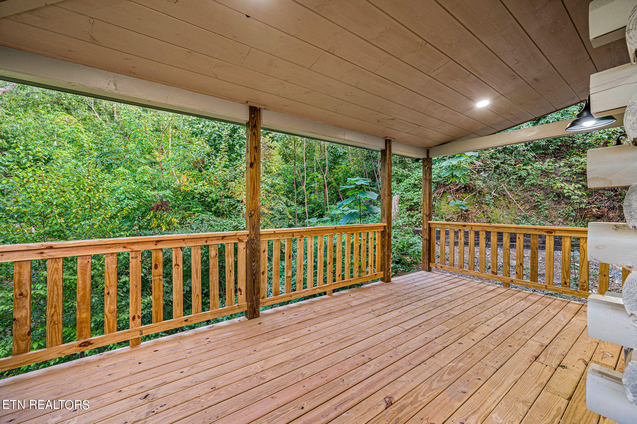 914 Crooked Ridge Road Gatlinburg, TN 37738 - Photo 47 of 57 DSC_5726