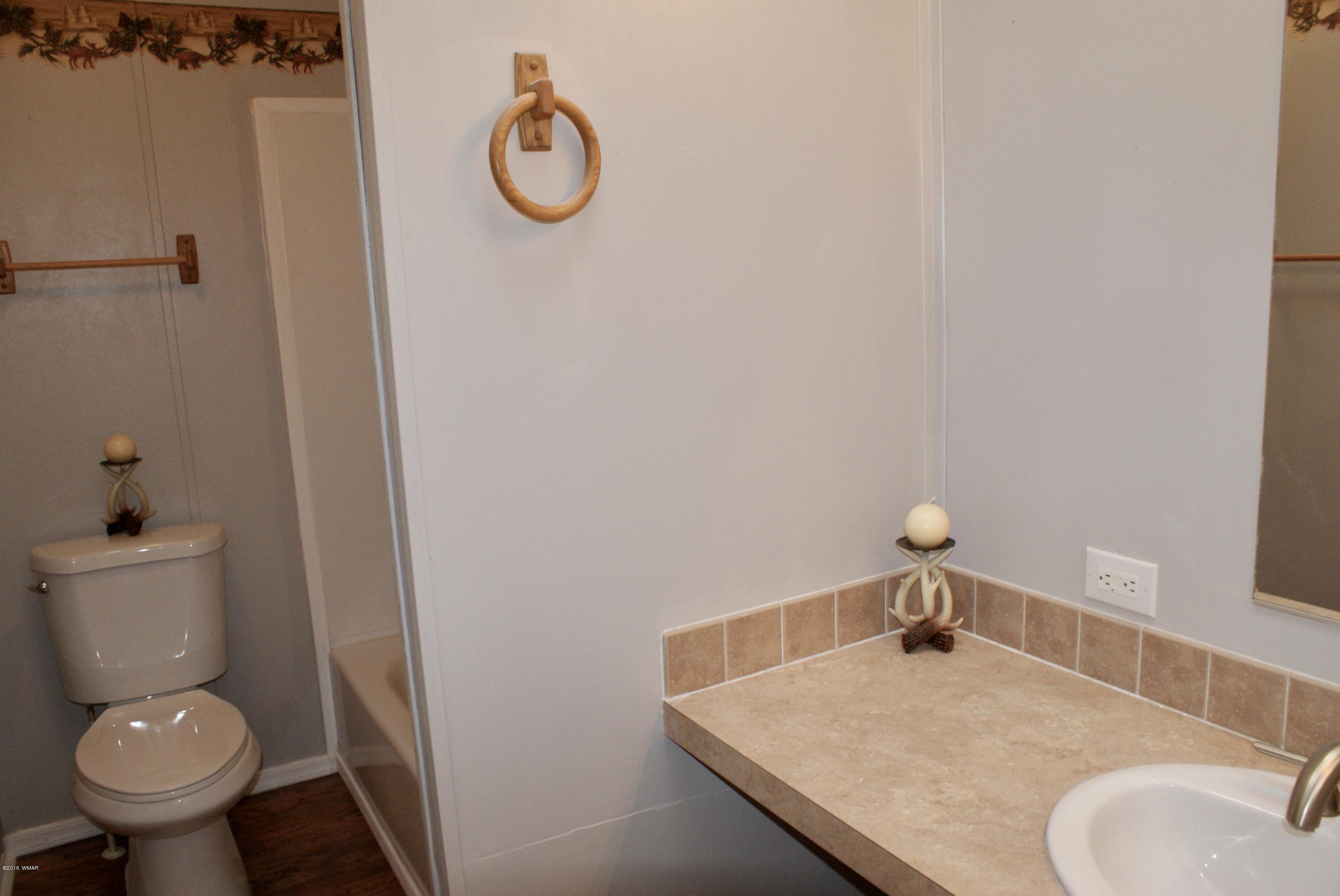 Lot 66 Antelope Vernon, AZ 85940 - Photo 13 of 17 a bathroom with a granite countertop sink and a toilet