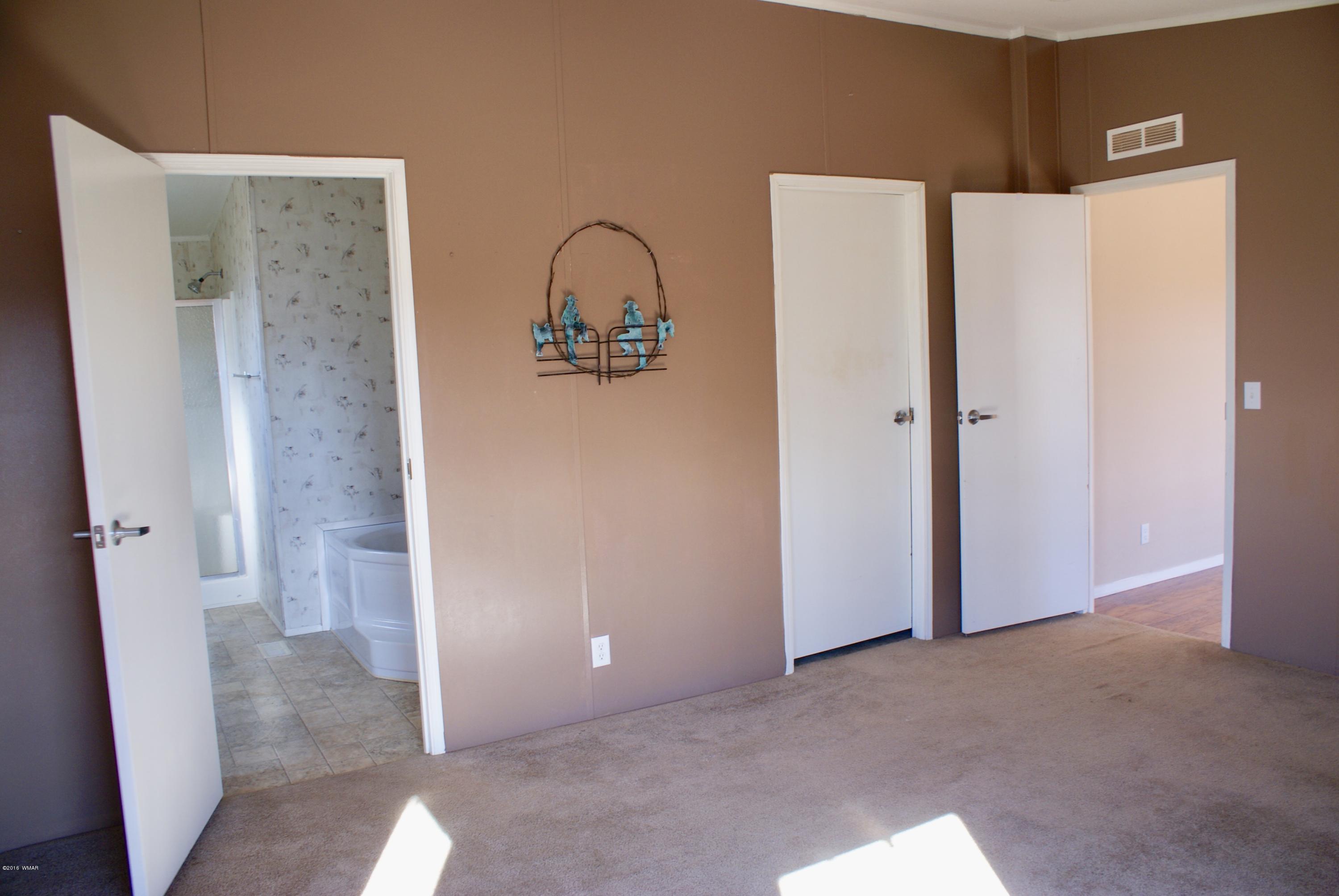 Lot 66 Antelope Vernon, AZ 85940 - Photo 8 of 17 a view of bathroom