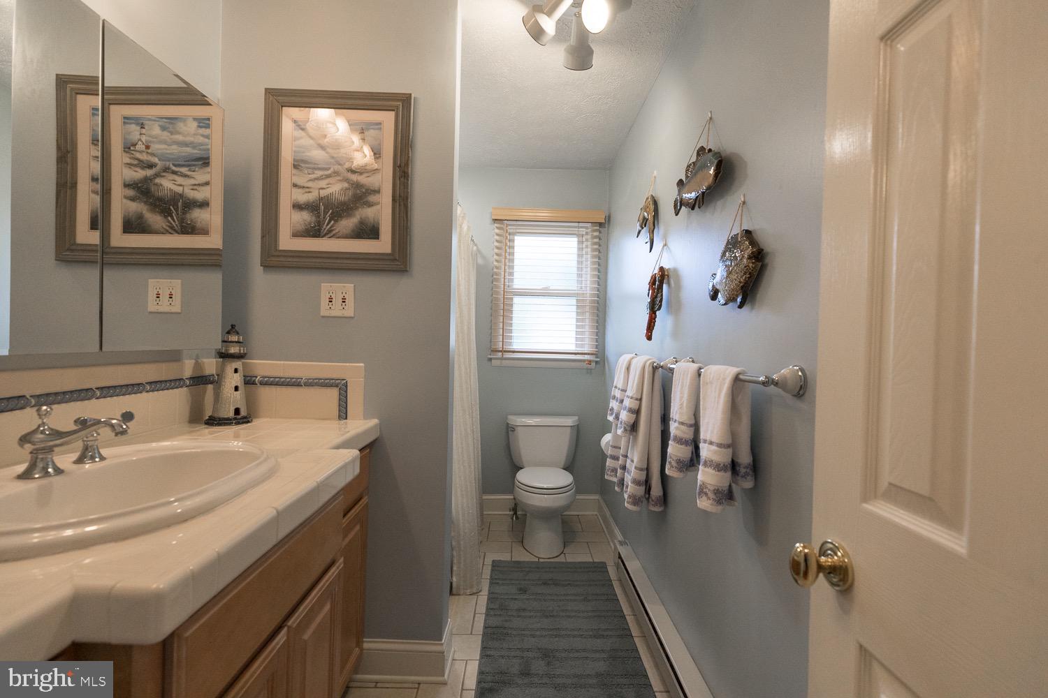 103 Frederick Road Stephens City, VA 22655 - Photo 17 of 40 Full Bath in hallway