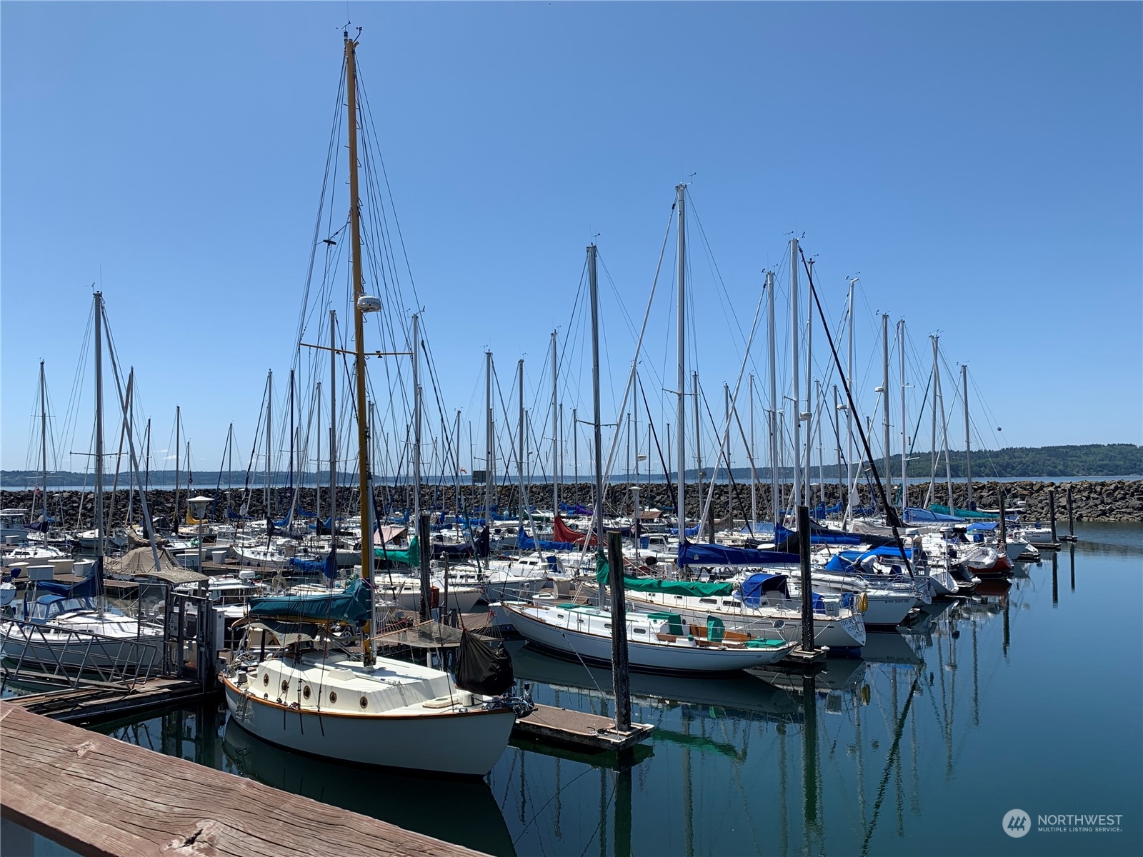 21658 14th Avenue South, Unit A10 Des Moines, WA 98198 - Photo 30 of 39 a view of a kitchen with lots of food and trees