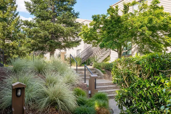 a view of a yard in front of house