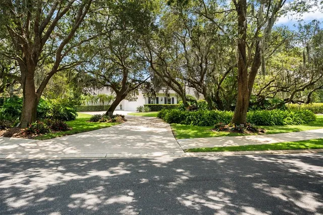a view of a street with a yard and trees
