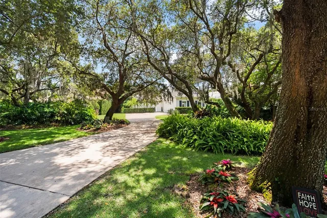 a view of a flower in a garden