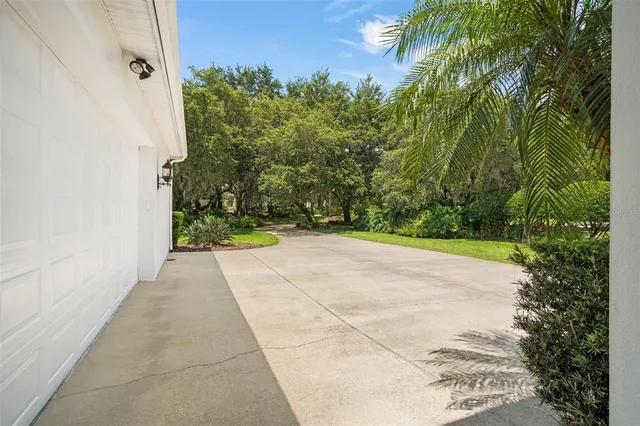 a view of a yard with plants