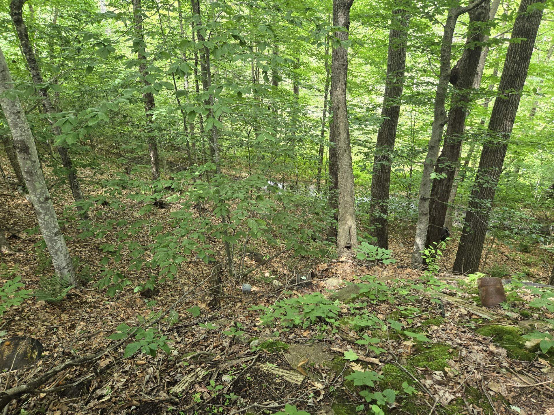 208 Nh Rte 3a Hill, NH 03243 - Photo 36 of 38