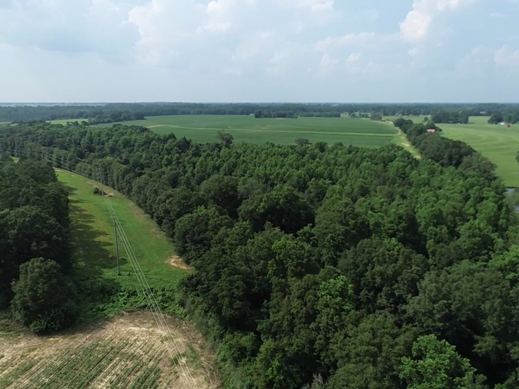 132.3-ac Green Road Dothan, AL 36303 - Photo 33 of 63
