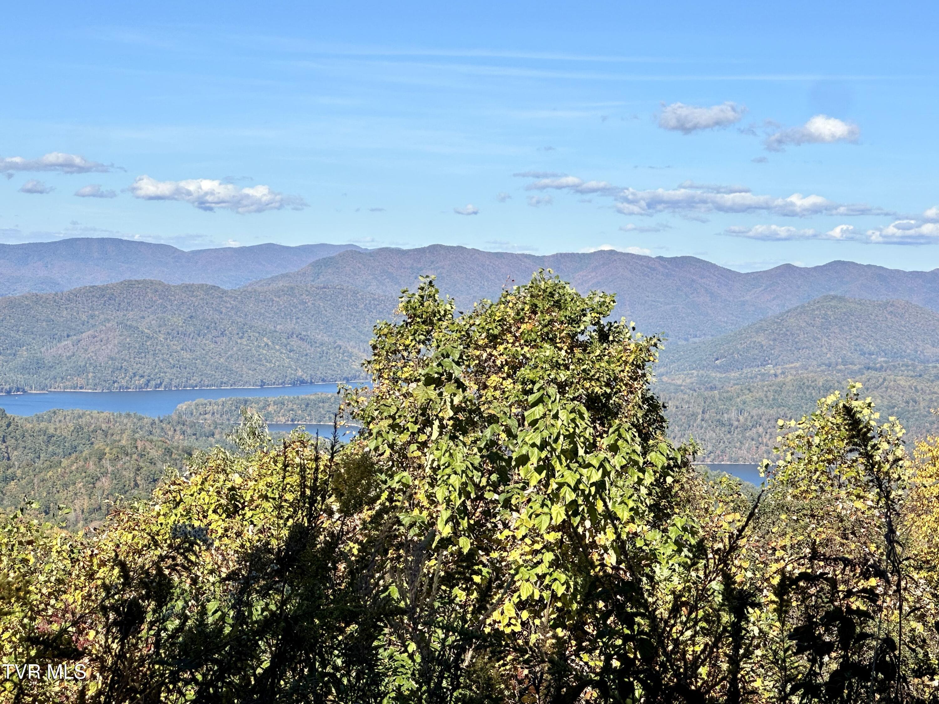 Lot 32 Vista Road, Unit 32 Butler, TN 37640 - Photo 3 of 8 3