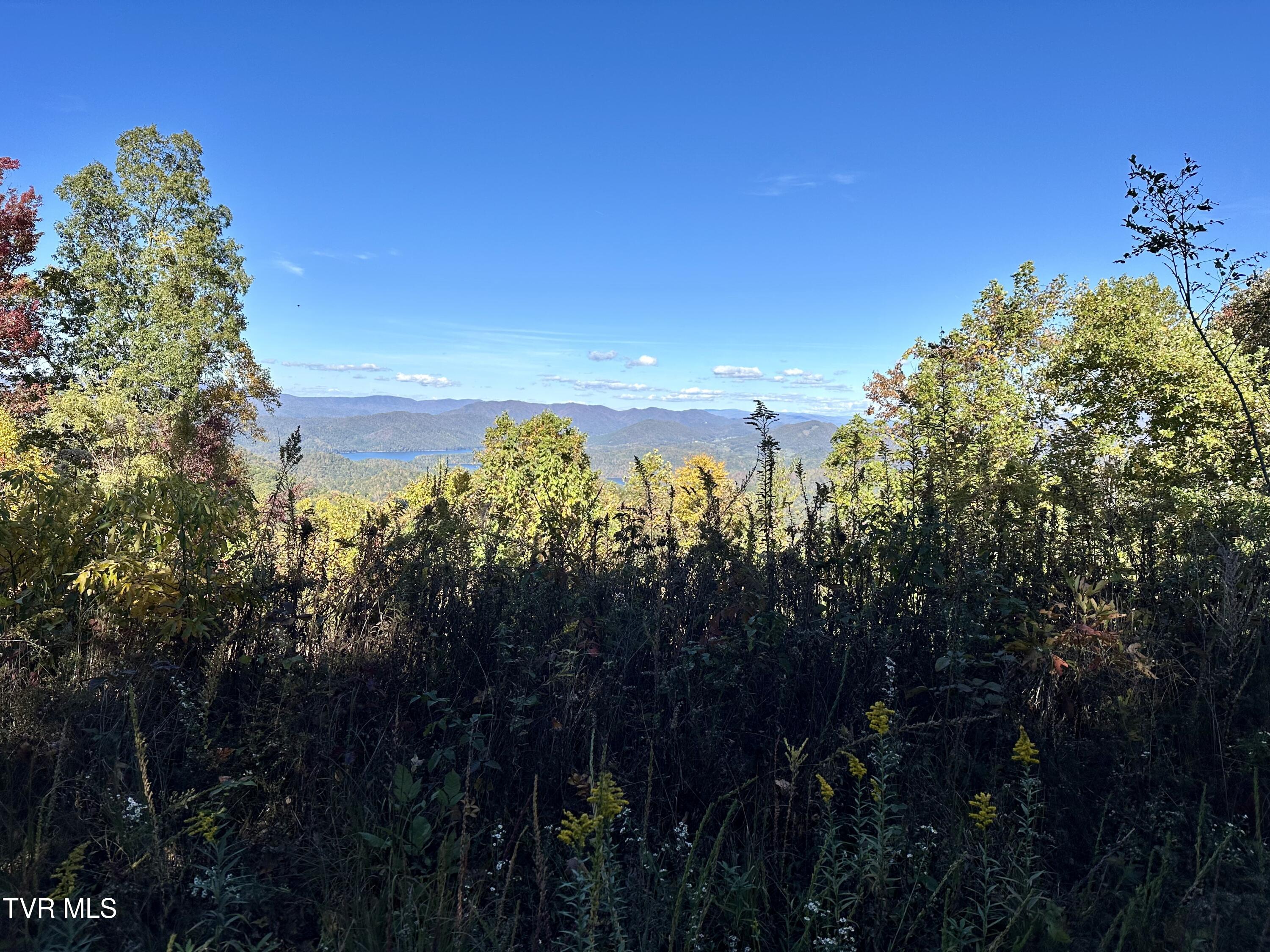 Lot 32 Vista Road, Unit 32 Butler, TN 37640 - Photo 4 of 8 4