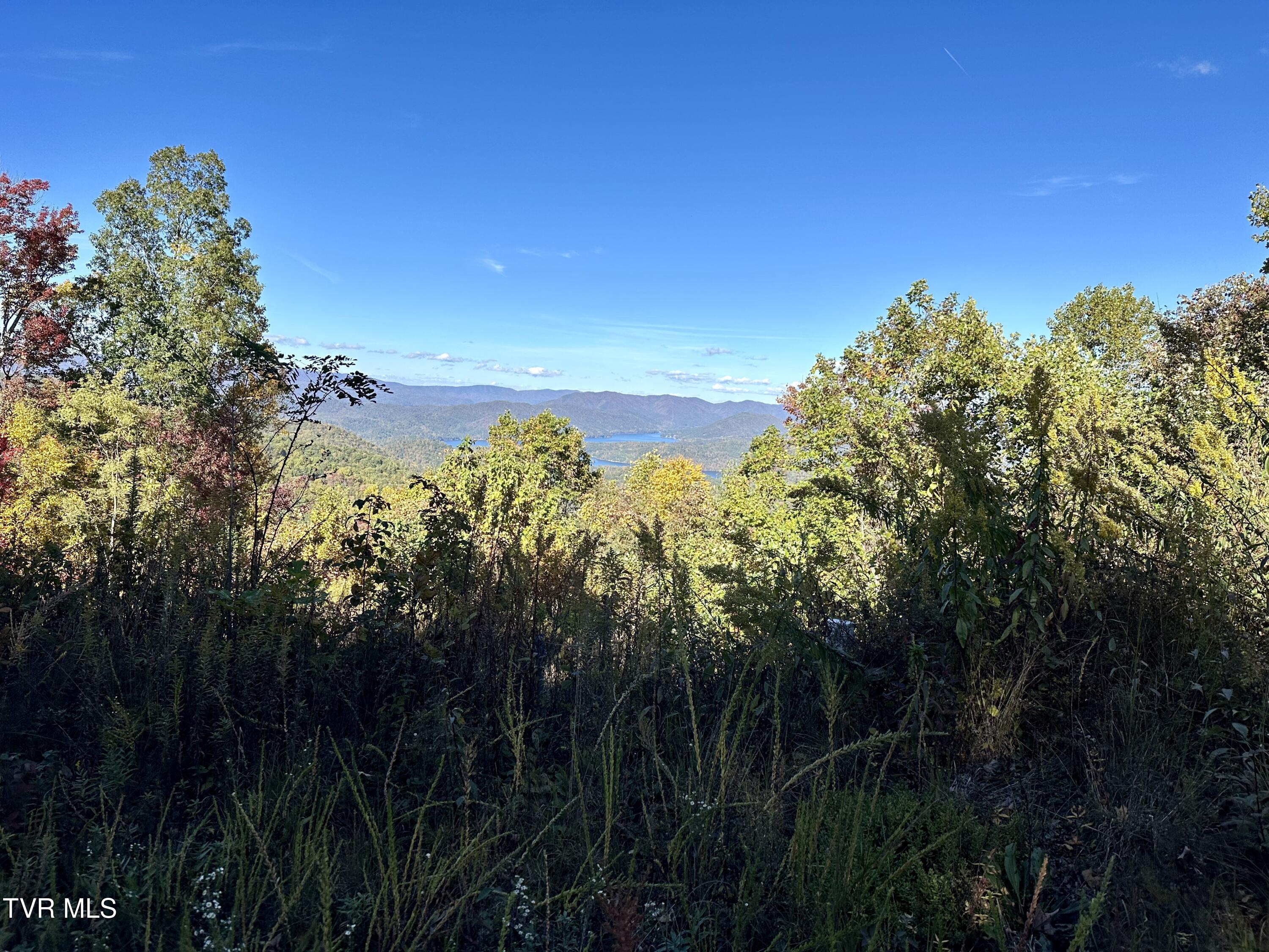 Lot 32 Vista Road, Unit 32 Butler, TN 37640 - Photo 8 of 8 8