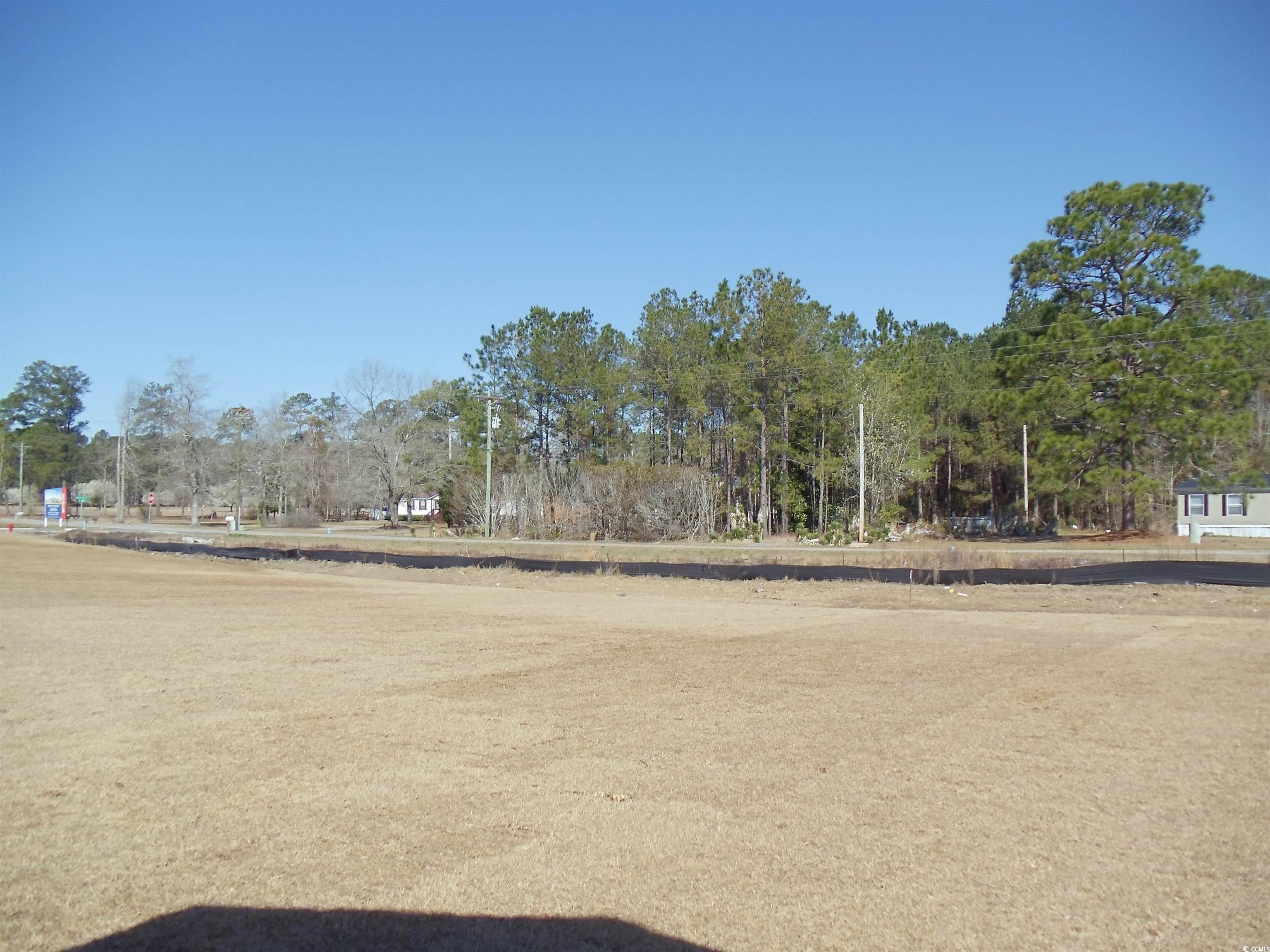 260 Warner Crossing Way Loris, SC 29569 - Photo 4 of 21 View of yard