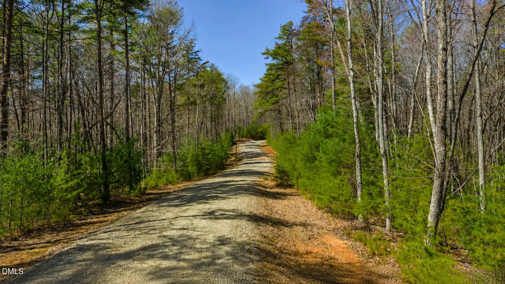 74 Sutters Ridge Road McGrady, NC 28649 - Photo 4 of 9 Red Log Dr
