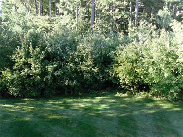 24 James Millen Road North Reading, MA 01864 - Photo 28 of 30 Gallery Image 28