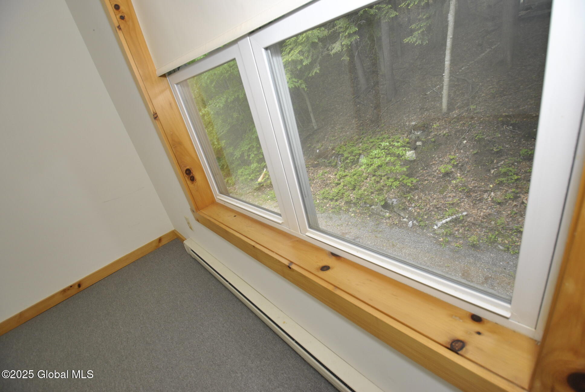 1380 South Shore Road Edinburg, NY 12835 - Photo 47 of 64 _DSC0871