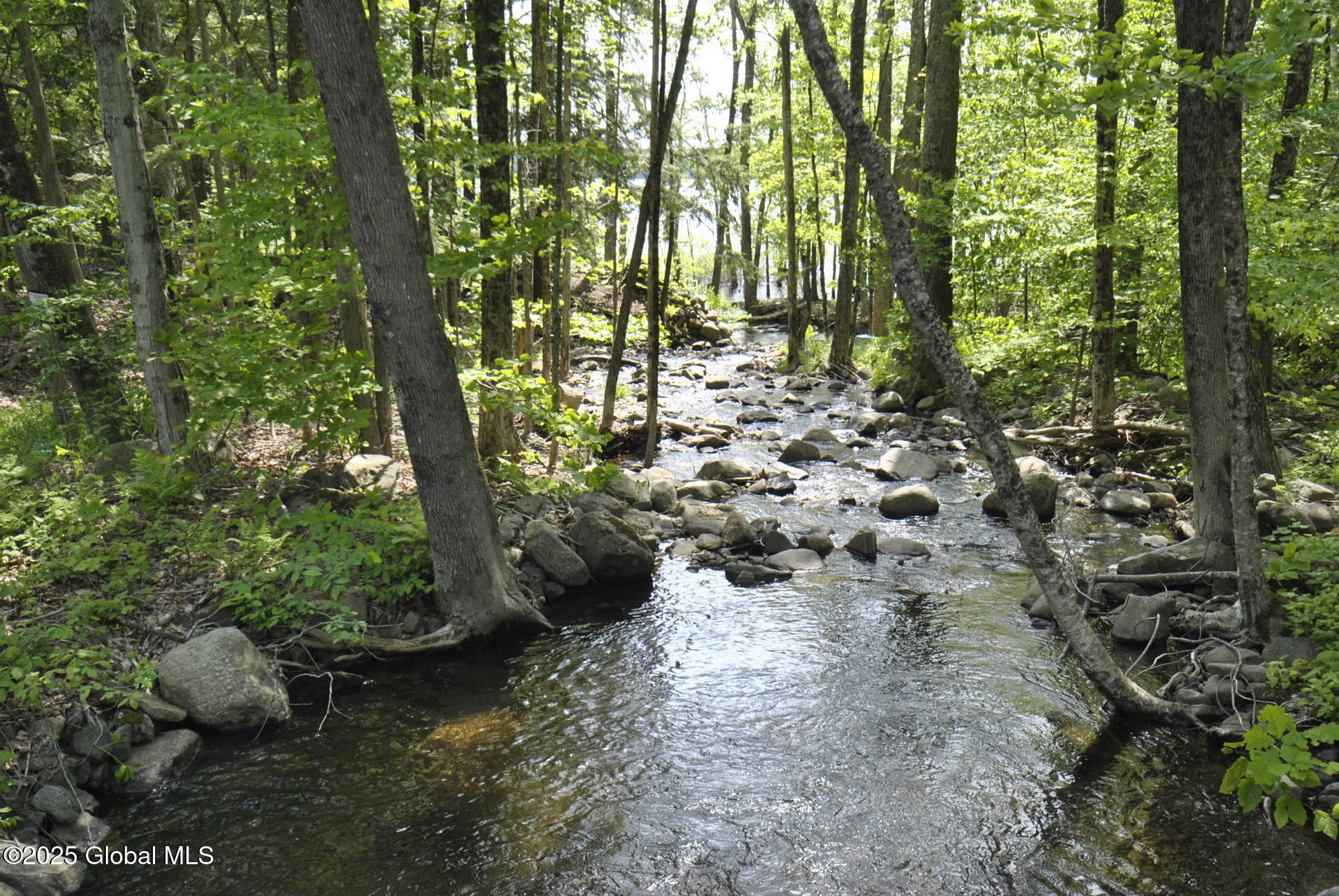 1380 South Shore Road Edinburg, NY 12835 - Photo 59 of 64 _DSC0944