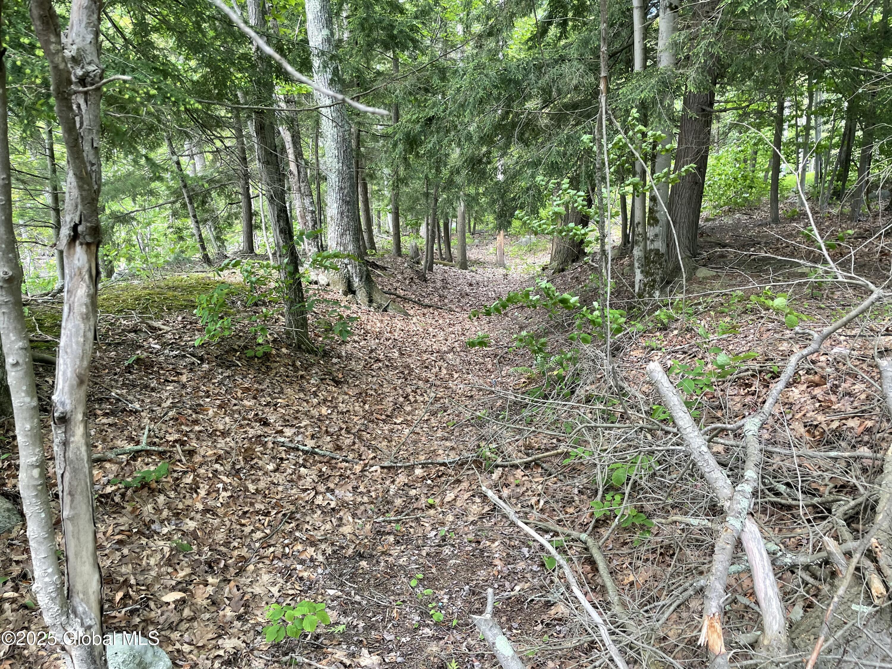 1380 South Shore Road Edinburg, NY 12835 - Photo 60 of 64 IMG_0954