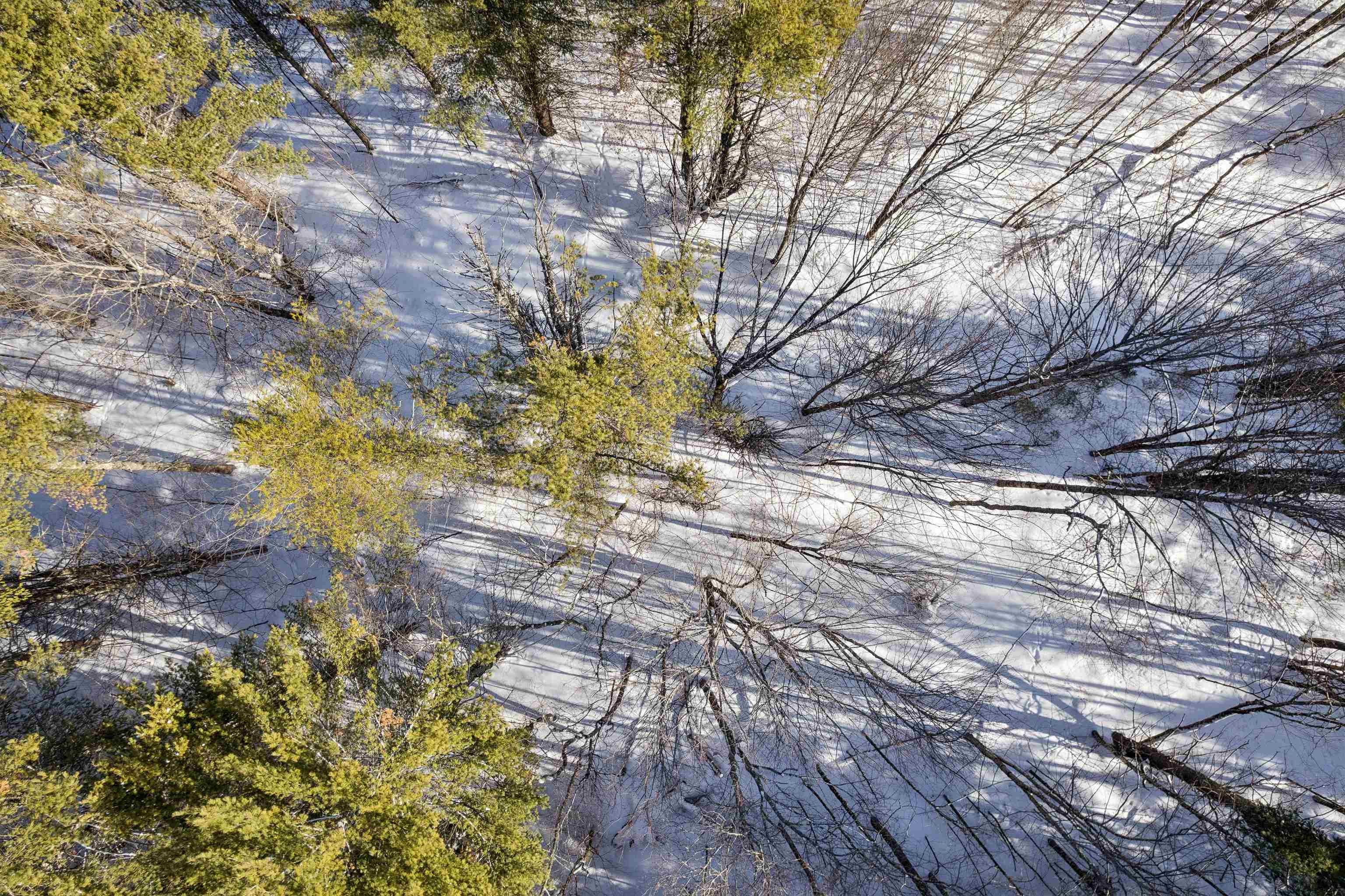 153 Russell Road Tunbridge, VT 05077 - Photo 14 of 19