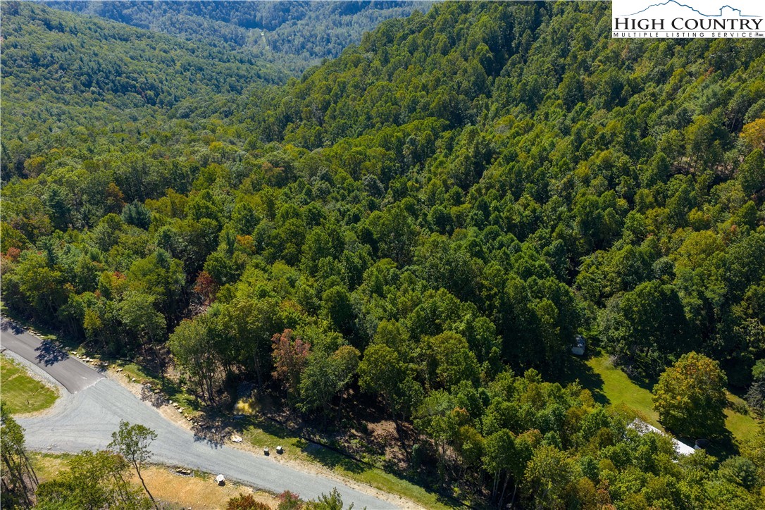 Lot 137 Angelfire Trail Deep Gap, NC 28618 - Photo 22 of 27 a view of a forest with a park