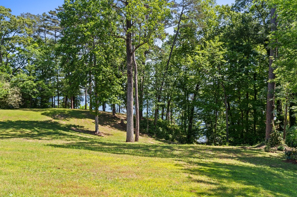 2167 Calhoun Drive Abbeville, AL 36310 - Photo 64 of 82