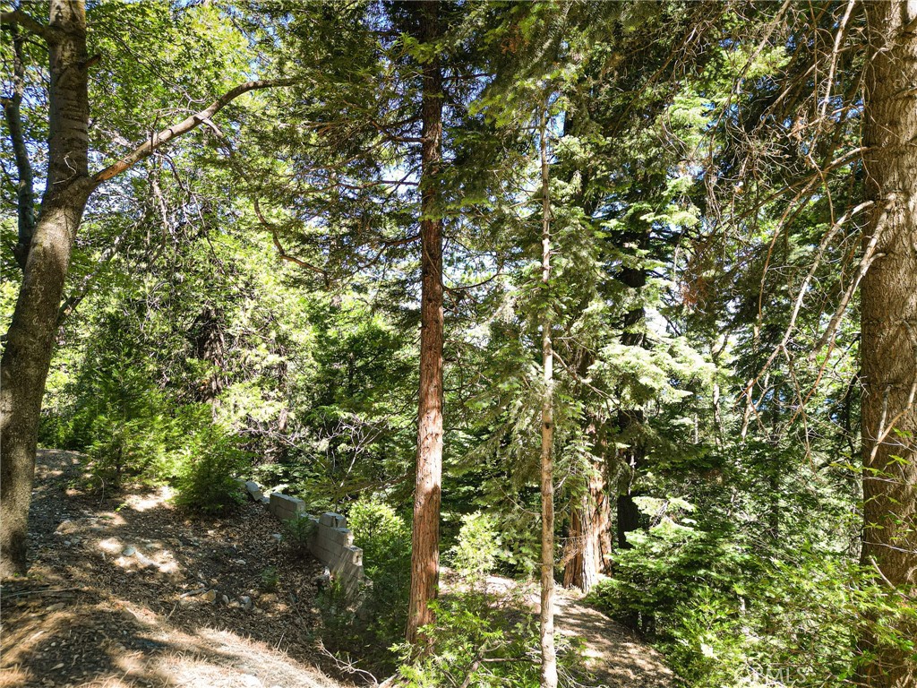 746 Blue Ridge Drive Skyforest, CA 92385 - Photo 12 of 18 Side profile of the lot from the right side.