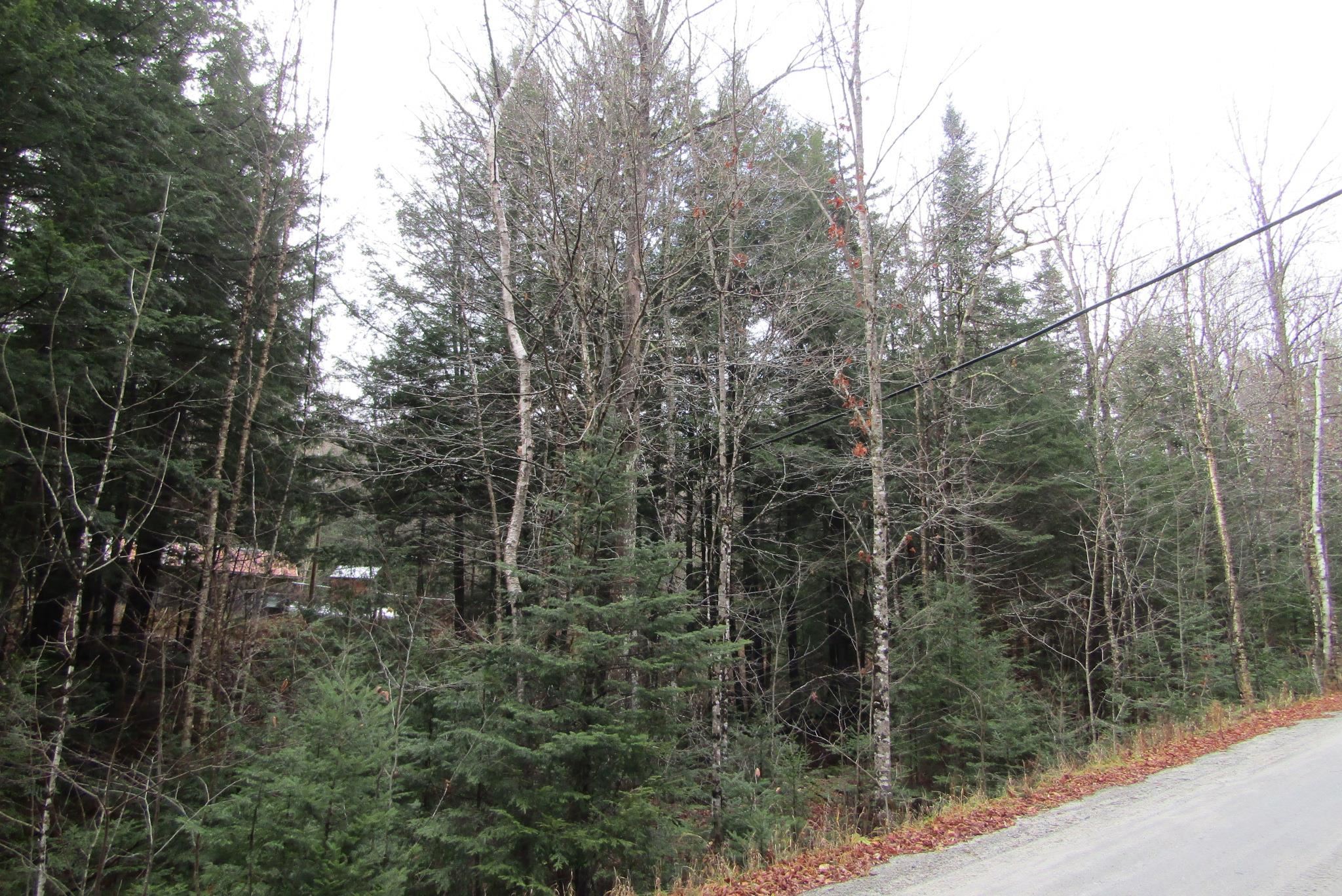 105 Honey Corners Road Topsham, VT 05086 - Photo 11 of 19 Gallery Image 11