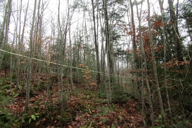 $350,000 | 105 Honey Corners Road, Topsham, VT 05086