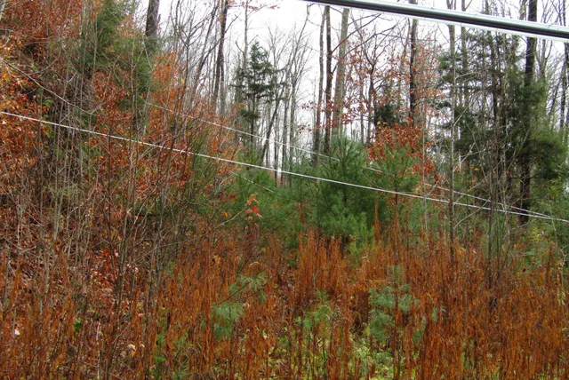 $350,000 | 105 Honey Corners Road, Topsham, VT 05086