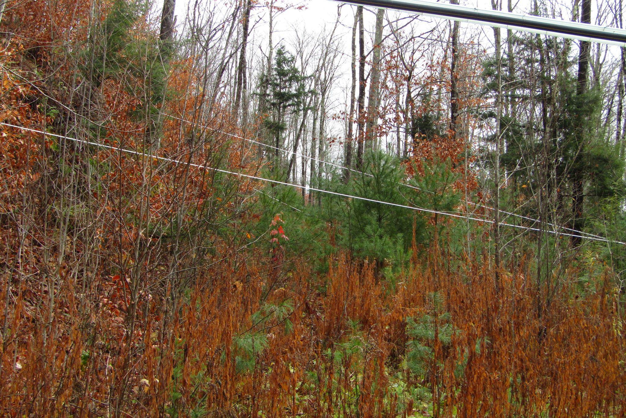 105 Honey Corners Road Topsham, VT 05086 - Photo 15 of 19 Gallery Image 15