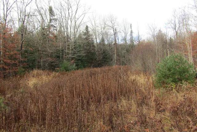 $350,000 | 105 Honey Corners Road, Topsham, VT 05086