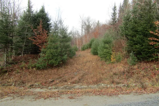 $350,000 | 105 Honey Corners Road, Topsham, VT 05086