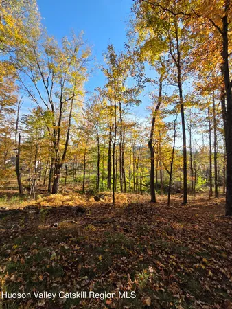 $79,000 | Tbd Kornell Drive, Haines Falls, NY 12436