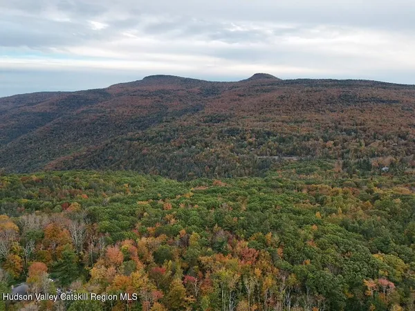 $79,000 | Tbd Kornell Drive, Haines Falls, NY 12436