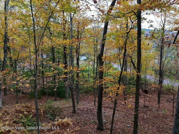 $79,000 | Tbd Kornell Drive, Haines Falls, NY 12436