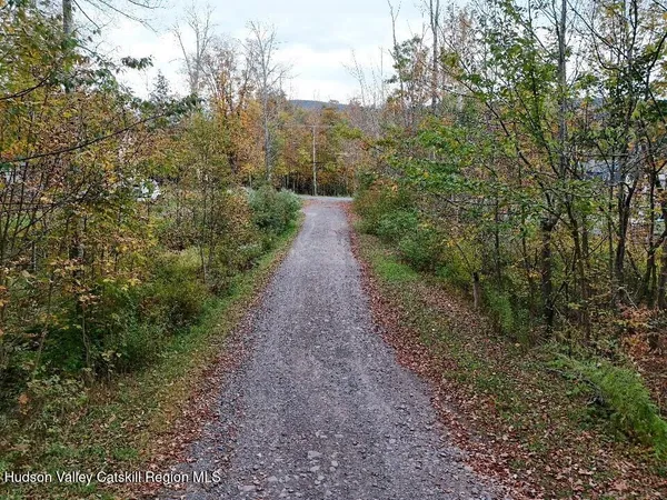 $79,000 | Tbd Kornell Drive, Haines Falls, NY 12436
