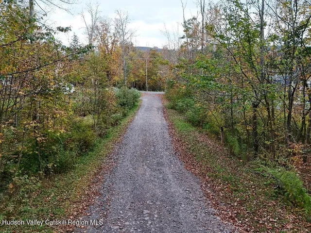 $79,000 | Tbd Kornell Drive, Haines Falls, NY 12436