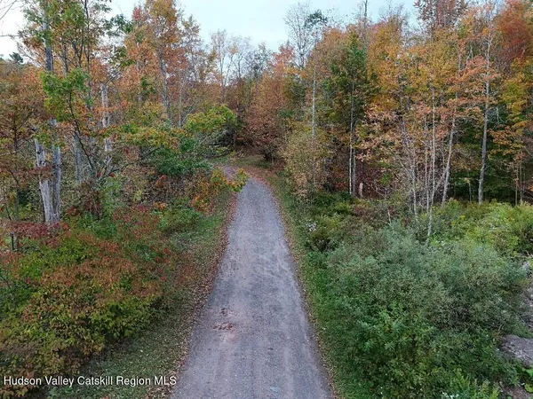 $79,000 | Tbd Kornell Drive, Haines Falls, NY 12436