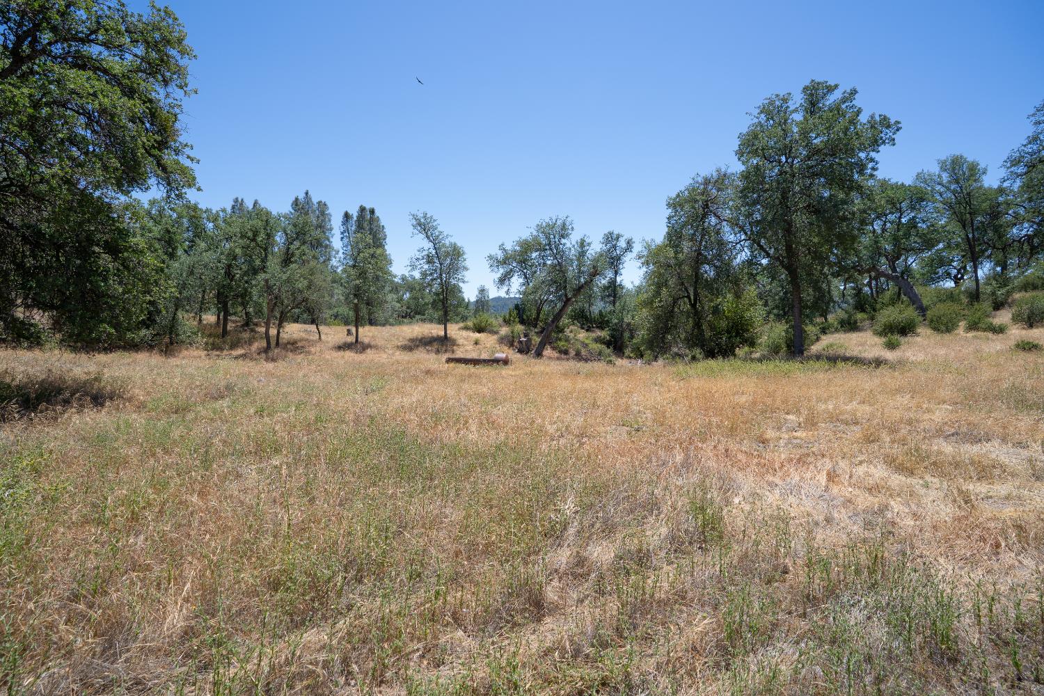 20505 Coalinga Road Paicines, CA 95043 - Photo 73 of 88